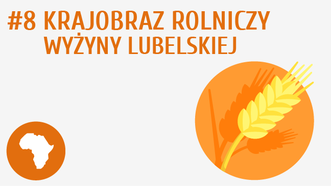 Krajobraz rolniczy Wyżyny Lubelskiej