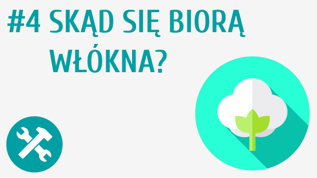 Skąd się biorą włókna?